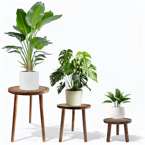 3-Pack Wood Plant Stands Indoor, Mid-Century Modern Plant Stool for 6-12 Inch Pots, Tall Single Corner Wooden Planter Table for Multiple Plants, Living Room, Balcony, and Office