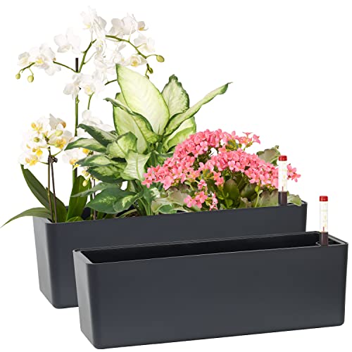 Elongated Self Watering Planter Pots 2-Pack Window Box 5.5 x 16 inch Indoor Home Garden Modern Decorative Pot for All House Plants Flowers Herbs (Dark Grey,2) - color: Dark Grey(16''x 5.5'')