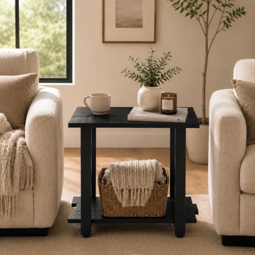 Transitional Narrow End Table, 2-Tier Rustic Side Table with Storage Shelves, Modern Farmhouse Industrial Nightstand for Living Room, Bedroom, Small Spaces, Couch, Black - color: Black