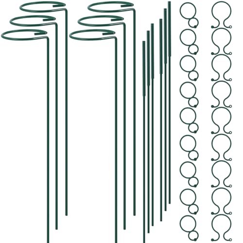 Plant Stake Support - 6 Pack Adjustable Height 12" or 24", Garden Support Stake Plant Cage Support Rings, Single Stem Plant Support Stakes, for Flowers Amaryllis Tomatoes Peony Lily Rose (24inch) - size: 24inch