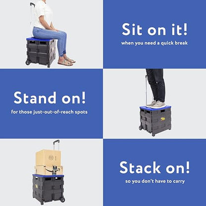 dbest products Quik Cart Collapsible Rolling Crate on Wheels for Teachers Tote Basket, 80 lbs Capacity, Blue Lid Made from Heavy Duty Plastic and used as a Seat - color: Black, Blue, style: Standard