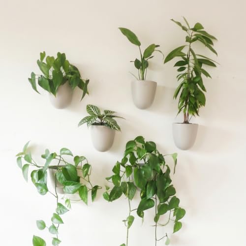 Make Good PlantPod Luxe - Self-Watering Wall Planters (Set of 6, Stone) - Easy to Water and Install - Lightweight - Design Your Own Vertical Garden - Wall Planters for Indoor Plants - color: Stone
