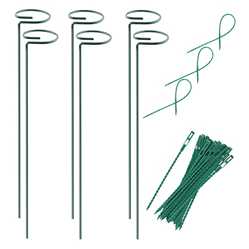 Plant Stake Support - 6 Pack, Garden Single Stem Support Stake Plant Cage Support Rings, Single Stem Plant Support Stakes, Plant Twist Ties, for Flowers Amaryllis Tomatoes Peony Lily Rose (15.9 inch) - size: 15.9inch