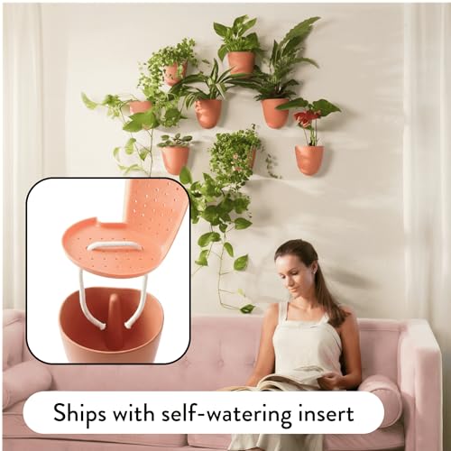 Make Good PlantPod Luxe - Self-Watering Wall Planters (Set of 6, Terracotta) - Easy to Water and Install - Lightweight - Design Your Own Vertical Garden - Wall Planters for Indoor Plants - color: Terracotta