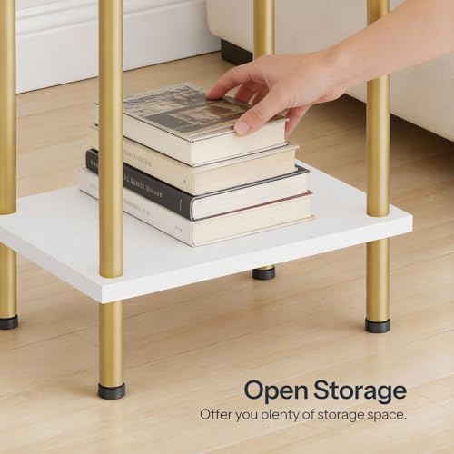 HOOBRO End Tables Set of 2, Small Side Table, Nightstand with 2-Layer Storage Shelves, Sofa Table for Small Spaces, Living Room, Bedroom, Stable Frame, Easy Assembly, White and Gold DW09BZP201 - color: White + Gold