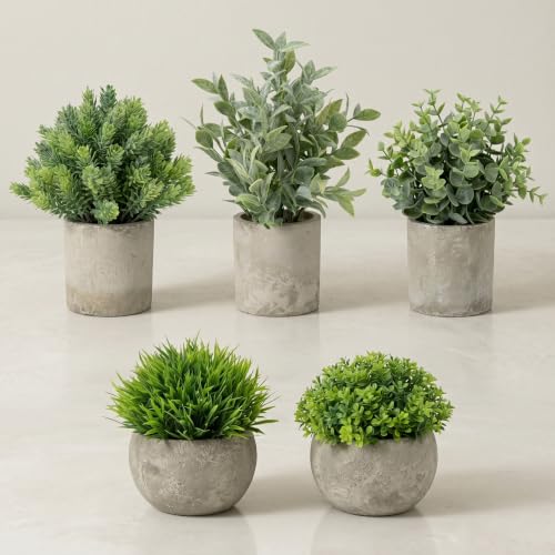 5 Pack Small Fake Plants with Cement Pots - Realistic Faux Greenery Set, No Watering Low Maintenance, UV Resistant Artificial Plants for Shelf Office Bathroom Desk Decor, Indoor & Outdoor