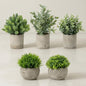 5 Pack Small Fake Plants with Cement Pots - Realistic Faux Greenery Set, No Watering Low Maintenance, UV Resistant Artificial Plants for Shelf Office Bathroom Desk Decor, Indoor & Outdoor