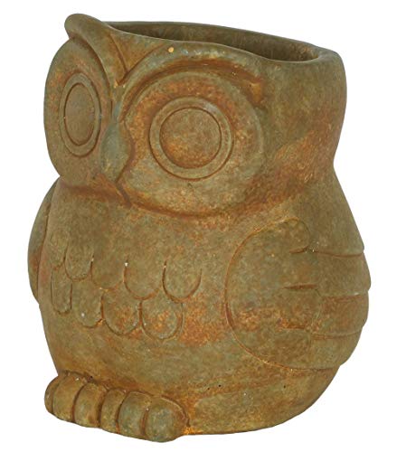 GROWSCAPE Cement Buddies Animal Planter - Cute Desk Decoration - UV Coated Animal Vase w/Removable Drain Plug - Succulent Planter for Indoor/Outdoor Use (Owl Planter, Rust, Large) - color: Rust, size: Large, style: Owl