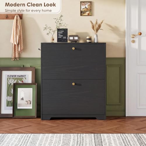 Nicetree Shoe Cabinet with 2 Flip Drawers, Narrow Shoe Organizer Cabinet, Freestanding Shoe Rack Cabinet, Modern Shoe Storage Cabinet for Entryway, Hallway, Foyer, Black - color: Black, style: 2-Drawers