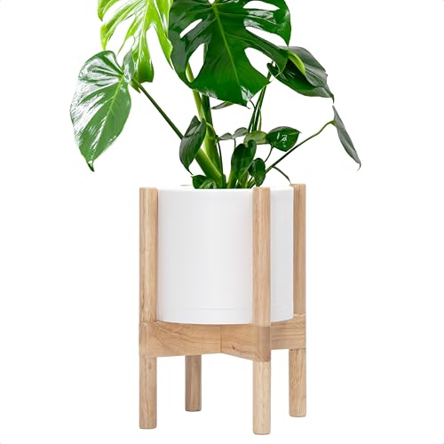 D'vine Dev Plastic Pot with Natural Wood Stand, White, 8 in, 55-C-J-1 | Mid-Century Inspired Design, Elevated Plant Display, Clean Lines, Sturdy Support, Modern Space-Saving Style - color: Matte White Pot + Natural Stand, size: 8 Inch