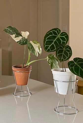 RISEON 2 Pack Mid Century Modern Simple Small Plant Stand Metal Flower Display Stand- Round Decorative Flower Shelf Rack Garden Plant Pot Riser Holder Modern Desk Plant Stand for Indoor Outdoor Home Patio Decor
