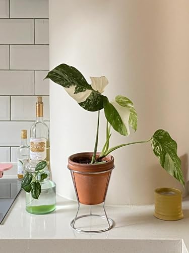 RISEON 2 Pack Mid Century Modern Simple Small Plant Stand Metal Flower Display Stand- Round Decorative Flower Shelf Rack Garden Plant Pot Riser Holder Modern Desk Plant Stand for Indoor Outdoor Home Patio Decor