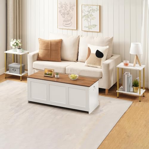HOOBRO End Tables Set of 2, Small Side Table, Nightstand with 2-Layer Storage Shelves, Sofa Table for Small Spaces, Living Room, Bedroom, Stable Frame, Easy Assembly, Gold and Marble DM09BZP201 - color: Marble + Gold