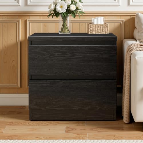 Nightstand with Drawers, Bedside Table with Drawers, Sofa Side Table Storage Cabinet, Night Stand for Bedroom Living Room (1, 2 Drawers Black, 19.7" W×15.6" D×18.9" H) - color: 2 Drawers Black