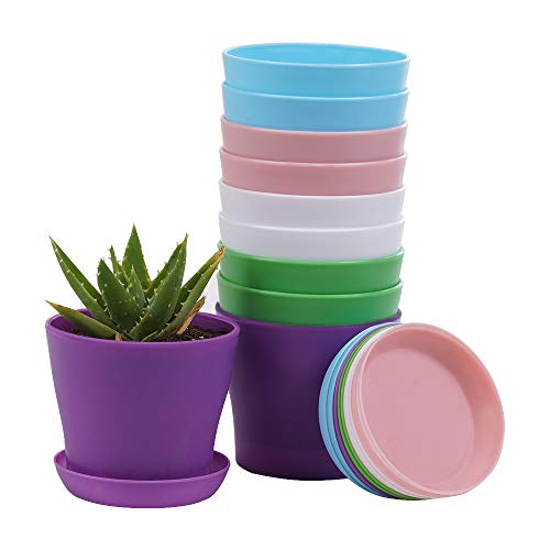 TDHDIKE 10 Pcs Plastic Planters Indoor Pots, Mini Flower Seedlings Nursery Flower Pot with Pallet, Modern Decorative Gardening Containers - color: Pink / White / Purple / Blue / Green