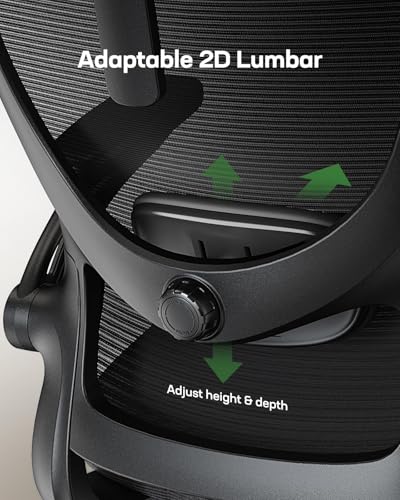 Marsail Ergonomic Office Chair: Office Desk Chair with High Back Mesh and Adjustable Lumbar Support Rolling Work Swivel Task Chairs with Wheel 3D Armrests and Headrest - color: Black
