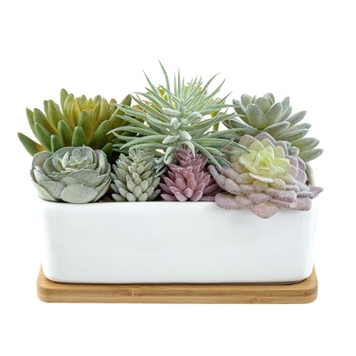 MyGift Assorted Artificial Succulent Plant Arrangement Potted in White Ceramic Planter Pot with Removable Bamboo Tray - color: White Ceramic & Bamboo
