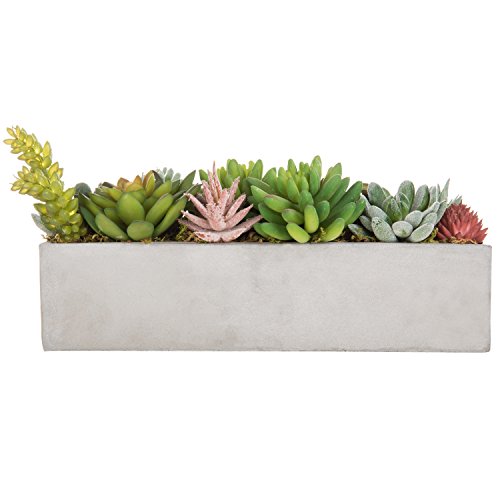 MyGift Faux Succulent Plant Arrangement in 12-Inch Gray Cement Pot - color: Gray Cement