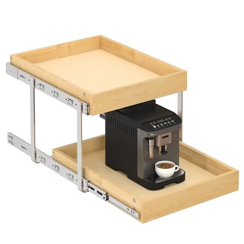WelFurGeer 2-Tier Pull Out Cabinet Organizer with Soft Close Slides, Heavy-Duty Pull Out Drawers for Cabinets, Slide Out Shelf for Kitchen, Bathroom, Pantry & Under Sink, Solid Birch Wood - color: 2 Tiers, size: 17''W x22''D