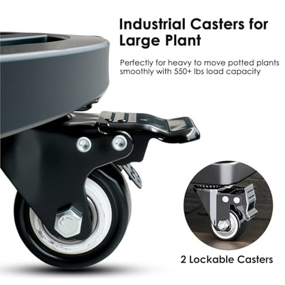 22" Round Plant Stand with Wheels Heavy Duty,Large Metal Plant Caddy Indoor Outdoor Use,Rolling Plant Dolly with Industrial Casters,Rust-Proof Black Plant Tray for Large Planters Pots,2-Pack - size: 22-Inch (2-Pack)