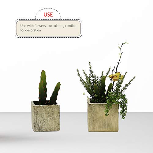 WGV Ceramic Cube Vase Width 4" Height 4" (Fits 3" Pot) Elegant Modern Block Square Floral Planter Terrarium Container Table Dresser for Event Accent Home Office Decor Gold Textured 1 Piece