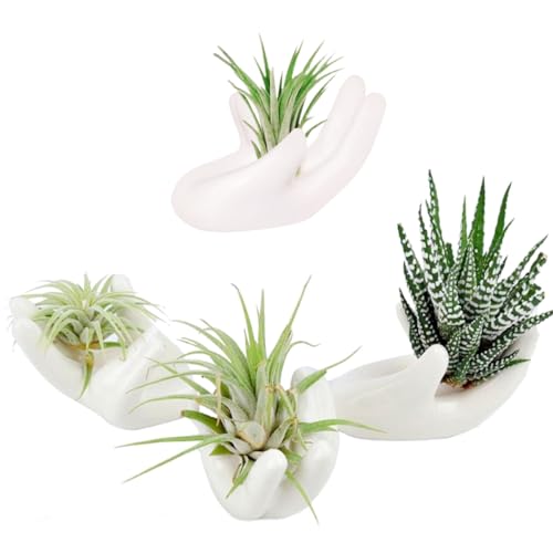4 Pack Air Plant Holders Unique Ceramic Mini Airplants Stand Tillandsia Succulent Display Container Pot Cute Home Decor for Desk Table Shelf Window, White - color: White