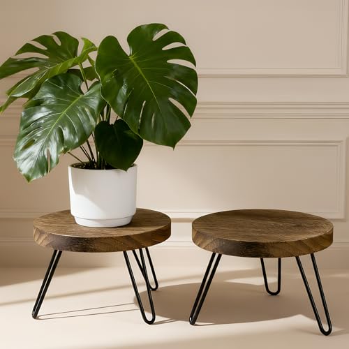 ROSSNY Small Indoor Plant Stand Stool: Fits for Under 10" Wide Pot - Wooden Plant Stool - Single Tier Short Round Plant Stool - Mid-century Modern Style for Indoor Outdoor Home Garden Décor, Dark Brown, 2 Pack (Without Pot) - size: 10'' Width-2 Pack