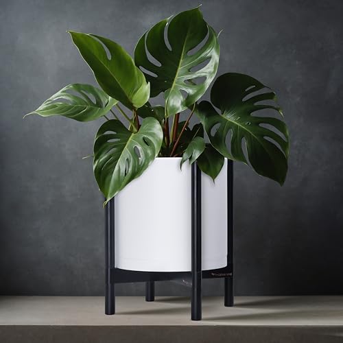 D'vine Dev Plastic Pot with Ebony Wood Stand, White, 12 in, 55-C-Q-1 | Mid-Century Inspired Design, Elevated Plant Display, Clean Lines, Sturdy Support, Modern Space-Saving Style - color: Matte White Pot + Ebony Stand, size: 12 Inch