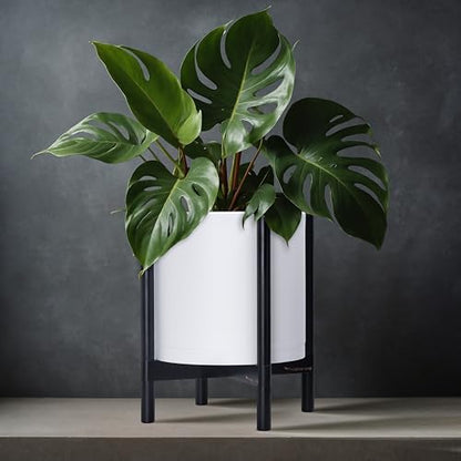 D'vine Dev Plastic Pot with Ebony Wood Stand, White, 12 in, 55-C-Q-1 | Mid-Century Inspired Design, Elevated Plant Display, Clean Lines, Sturdy Support, Modern Space-Saving Style - color: Matte White Pot + Ebony Stand, size: 12 Inch