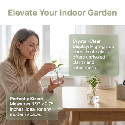Toddmomy Clear Glass Planters 2Pcs Hydroponic Glass Vase for Indoor Plants Terrarium Plants Flower Holder Suspended Vase Decor for Home Office Table Centerpieces