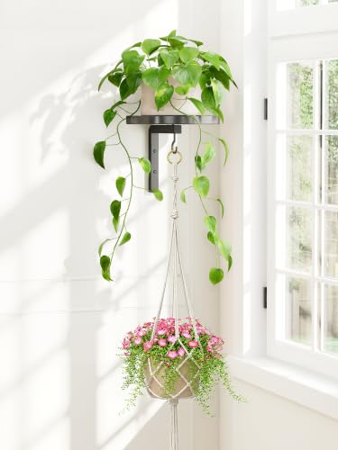 iDavosic.ly Wall Plant Holder with Macrame Hanger for Indoor Outdoor, Black | Floating Single Flower Display Stand for Window Corner with Hook, Space Saving, Easy to Assemble (Pots/Plants Not Included) - color: Black with Hanger, size: 1 Pack