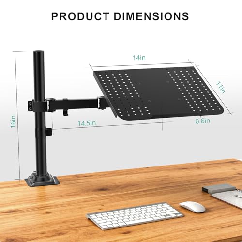 WALI Laptop Desk Mount for 17 inch Notebook, Adjustable Single Monitor Arm with Laptop Holder for 32 inch Screen, Laptops Stand with Ventilated Tray, Up to 22 lbs, (M00LP), Black - size: Single, style: Adjustable Desk Mount
