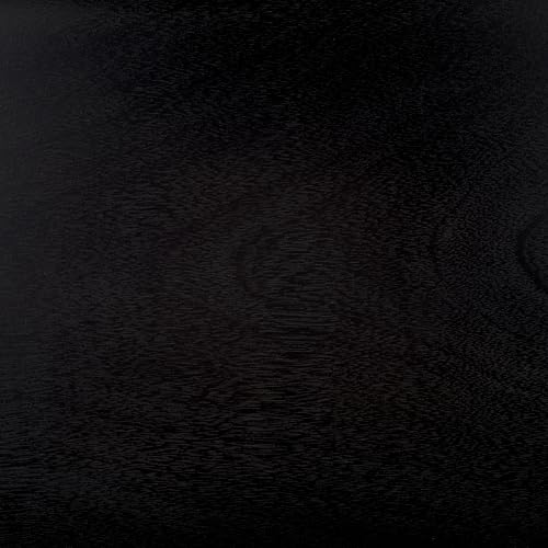 SAFAVIEH Home Collection Nonie Mid-Century Modern Black Tray Accent Table for Living Room, Home Office, Bedroom, Foyer - color: Black