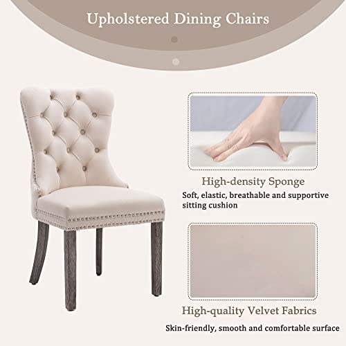 KCC Velvet Dining Chairs Set of 4, Upholstered High-end Tufted Dining Room Chair with Nailhead Back Ring Pull Trim Solid Wood Legs, Nikki Collection Modern Style for Kitchen, Beige - color: Beige, size: Set of 4