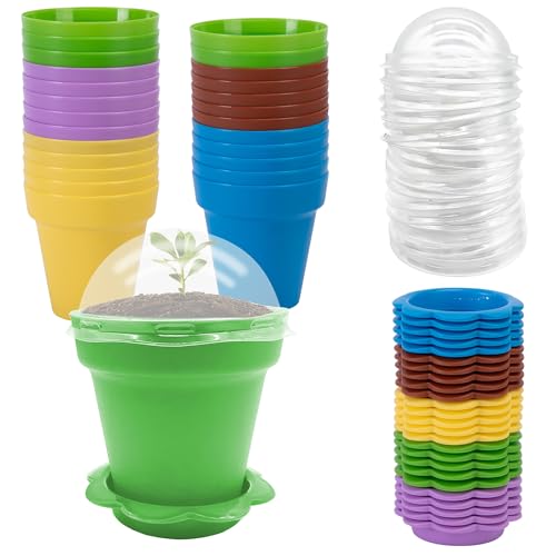 PURPLE STAR 1N 25 Packs Cupcake Plant Nursery Pots with Humidity Dome-Small Flower Pots for Kids-Planting Containers Cups for Indoor Outdoor Plant Succulent Display (Mixed Color) - color: 25 Packs