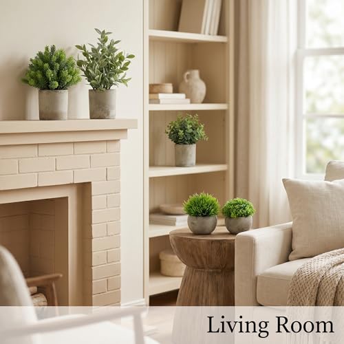 5 Pack Small Fake Plants with Cement Pots - Realistic Faux Greenery Set, No Watering Low Maintenance, UV Resistant Artificial Plants for Shelf Office Bathroom Desk Decor, Indoor & Outdoor