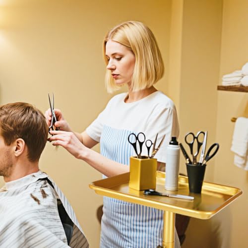 Salon Tray on Wheels, Gold Salon Rolling Tray with Adjustable Height | Tattoo Rolling Tray,Hair Stylist Tray, Suitable for Tattoo Tray and Dental Tray - color: Golden
