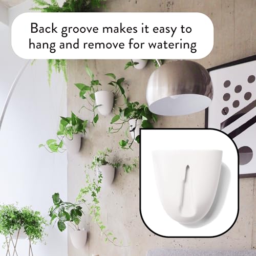 Make Good PlantPod Luxe - Self-Watering Wall Planters (Set of 6) - Easy to Water and Install - Lightweight - Design Your Own Vertical Garden - Wall Planters for Indoor Plants - color: White