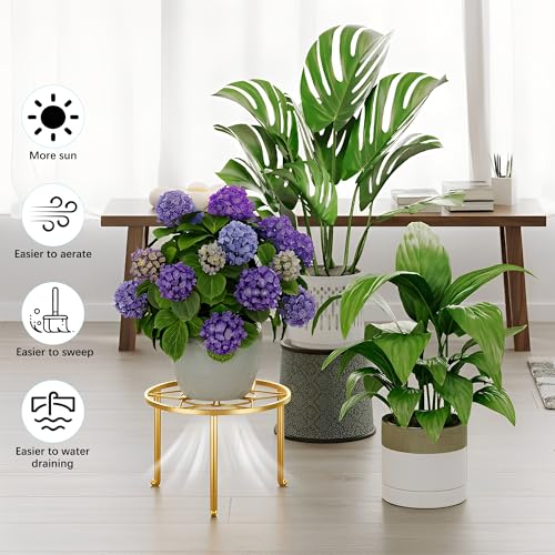 5 Pack Metal Plant Stand, Sturdy Tiered Display Rack for Indoor Outdoor Patio Home Garden - color: Diamond-Gold