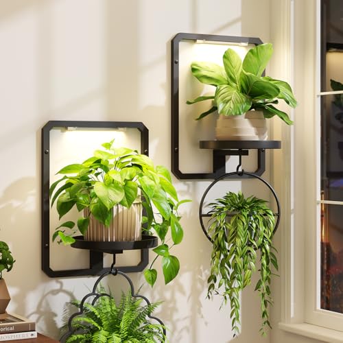 iDavosic.ly Wall Plant Picture Frame Holder Set of 2 with 2 Grow Light for Indoor, Metal Stand with Hanging Hooks, Space Saving Floating Flower Display Decor (Pots/Chains/Plants Not Included) - color: Black with 2 Lights, size: Rectangular