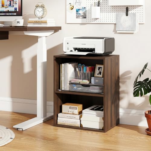 Giantex 2-Cube Bookshelf, 2-Layer Storage Shelf Bookcase | Display Shelf with Open Storage Space for Living Room, Home Office, Multi-Functional Furniture Display Cabinet, Dark Walnut - color: Dark Walnut
