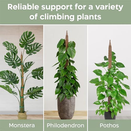 K-Brands 48'' Bendable Moss Pole Monstera Plant Support - Coconut Palm Fiber - Brown - Rectangular - Climbing Plant Support Structure - size: 1-Pack (48 in)