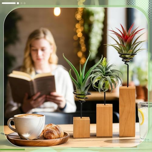 3 Pcs Wooden Air Plant Holder, 3 Sizes Air Plant Container Live Holder Wood Base with Metal Spiral for Display Small AirPlant, Tillandsia Stands for Home Desktop Office, Housewarming Gift