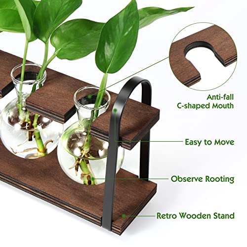 THYGIFTREE Plant Propagation Stations with Wooden Stand | Desktop Retro Plant Terrarium, Bulb Vase for Indoor Hydroponic Flowers, Tabletop Glass Planter - color: Dark Brown
