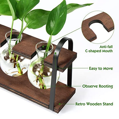 THYGIFTREE Plant Propagation Stations with Wooden Stand | Desktop Retro Plant Terrarium, Bulb Vase for Indoor Hydroponic Flowers, Tabletop Glass Planter - color: Dark Brown
