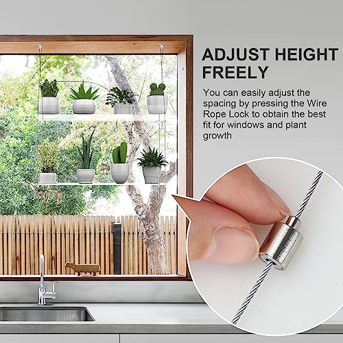 2-Tier Hanging Clear Plant Shelves for Windows,16 Inch per Tier | Acrylic Window Wall Plant Stand Shelf for Kitchen Indoor Gardens, Flower,Herb, Seedling Organization, and Pots Display. - size: 2 Tier