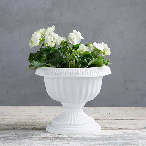 Root & Vessel, Grecian Urn Planter, White, 12-Inch - color: White, size: 12-Inch