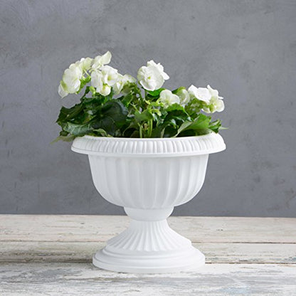 Root & Vessel, Grecian Urn Planter, White, 12-Inch - color: White, size: 12-Inch