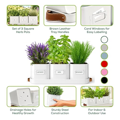 volila Herb Planter Indoor - Set of 3 Warmstone Indoor Herb Garden Pots for Plants with Leather Handled Tray - Window Sill Plant Shelf - Herb Pots with Drainage Holes and Labels - color: Warmstone