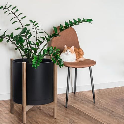 D'vine Dev Plastic Pot with Natural Wood Stand, Black, 16 in, 55-C-Y-2 | Mid-Century Inspired Design, Elevated Plant Display, Clean Lines, Sturdy Support, Modern Space-Saving Style - color: Matte Black Pot + Natural Stand, size: 16 Inch
